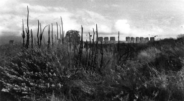 Erieta Attali: Memorial Landscapes (1993) / Εριέτα Αττάλη, Επιμνημόσυνα Τοπία (1993)