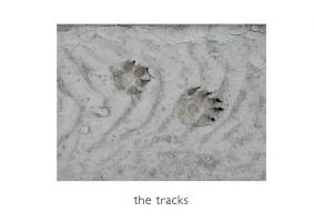 John Stathatos: A Visual Primer of the World: the tracks