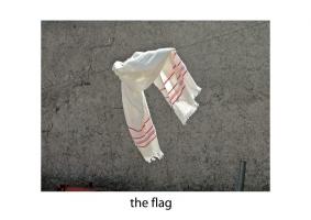 John Stathatos: A Visual Primer of the World: the flag